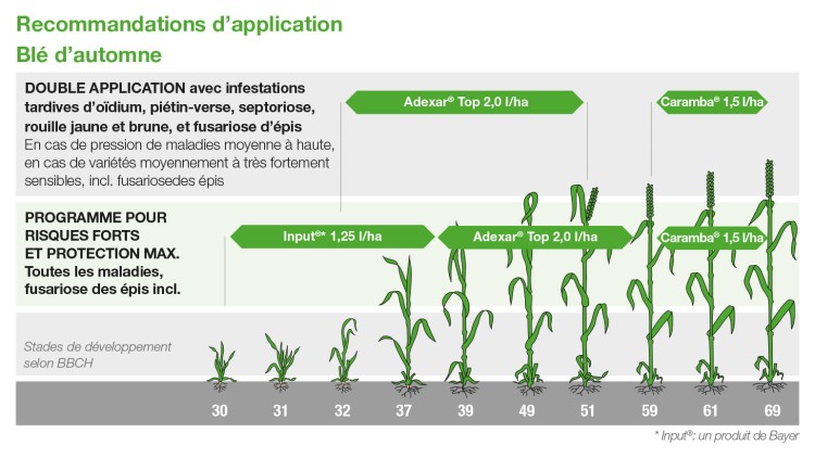 NEXUS N°35 PÉTROLE soja théorie unificatrice la sensibilité des plantes EUR  5,65 - PicClick FR