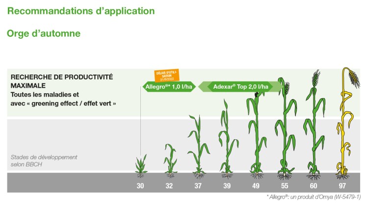 NEXUS N°35 PÉTROLE soja théorie unificatrice la sensibilité des plantes EUR  5,65 - PicClick FR